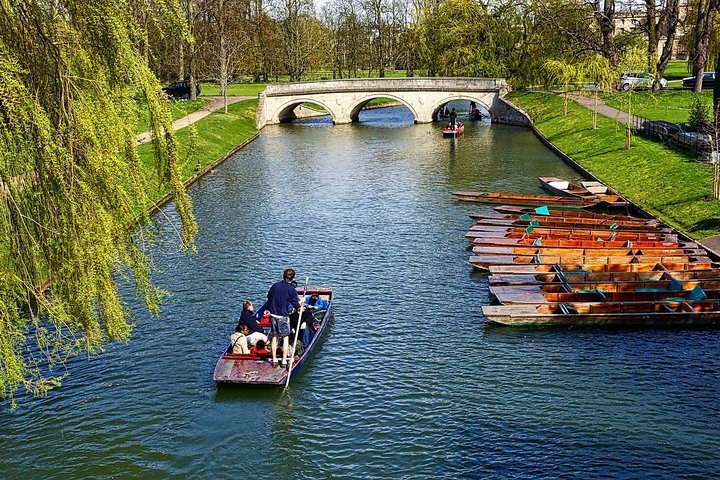 Cambridge Day Trip from London with a Local: Private & Personalized - photo