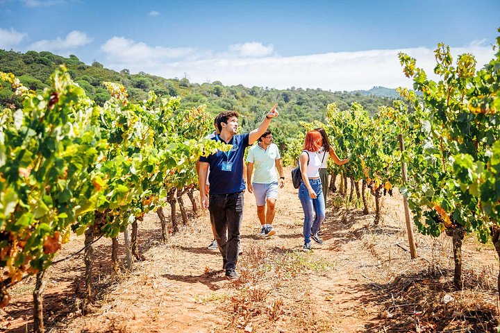 Arrabida and Sesimbra Small-Group Day Trip from Lisbon with Wine Tasting - photo